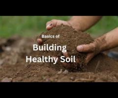 Soil Building & Fertility Workshop