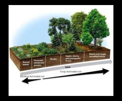 Soil Building & Fertility Workshop