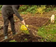 Composting Workshop