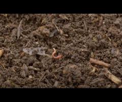 Composting Workshop
