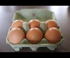 Organic Eggs (6-pack)