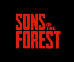Conceal.Network Sons Of The Forest Server Access (Free)