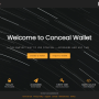 webwalletcapture2.png